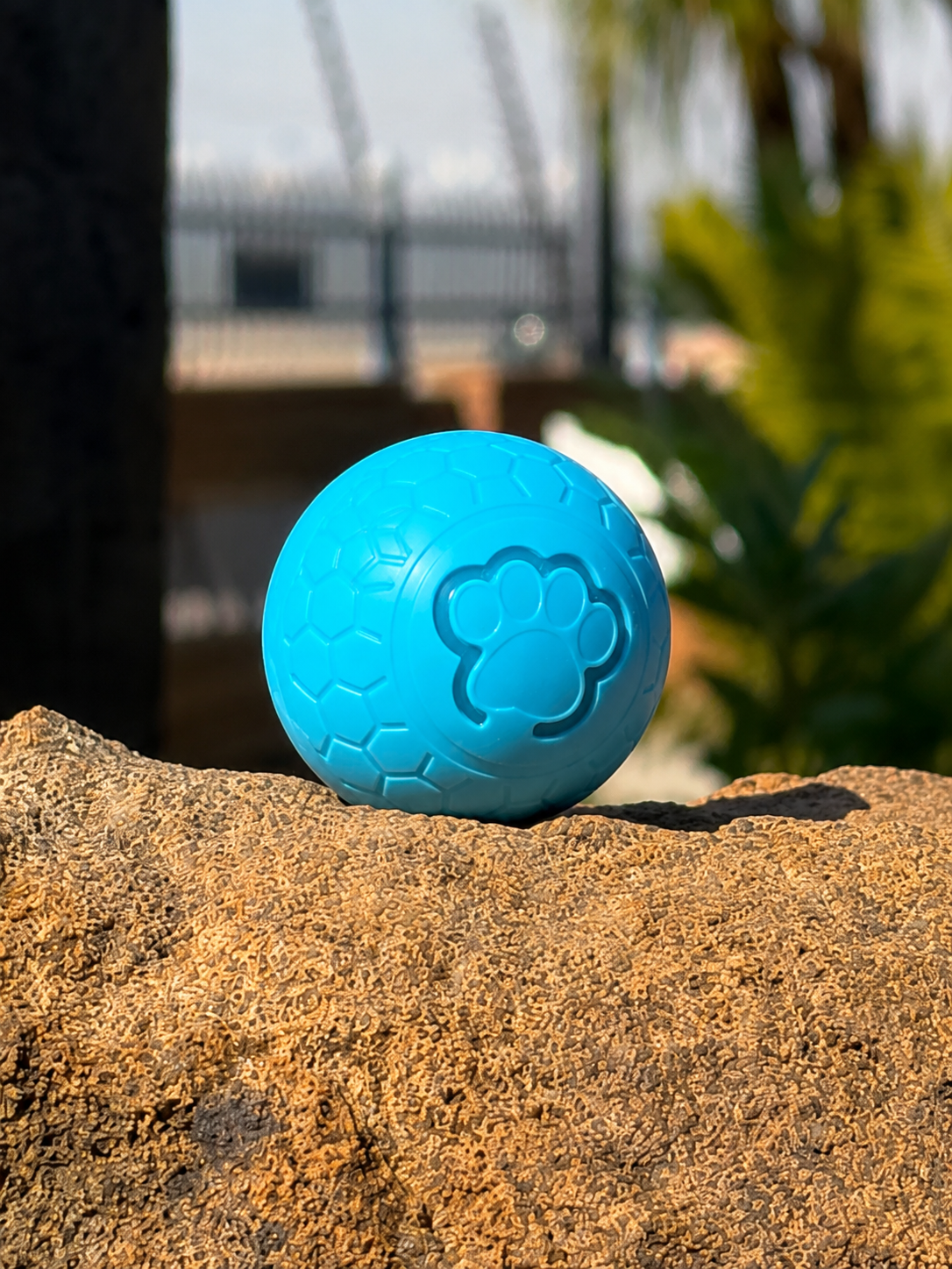 Prestige Pets™ The Zoomie Ball