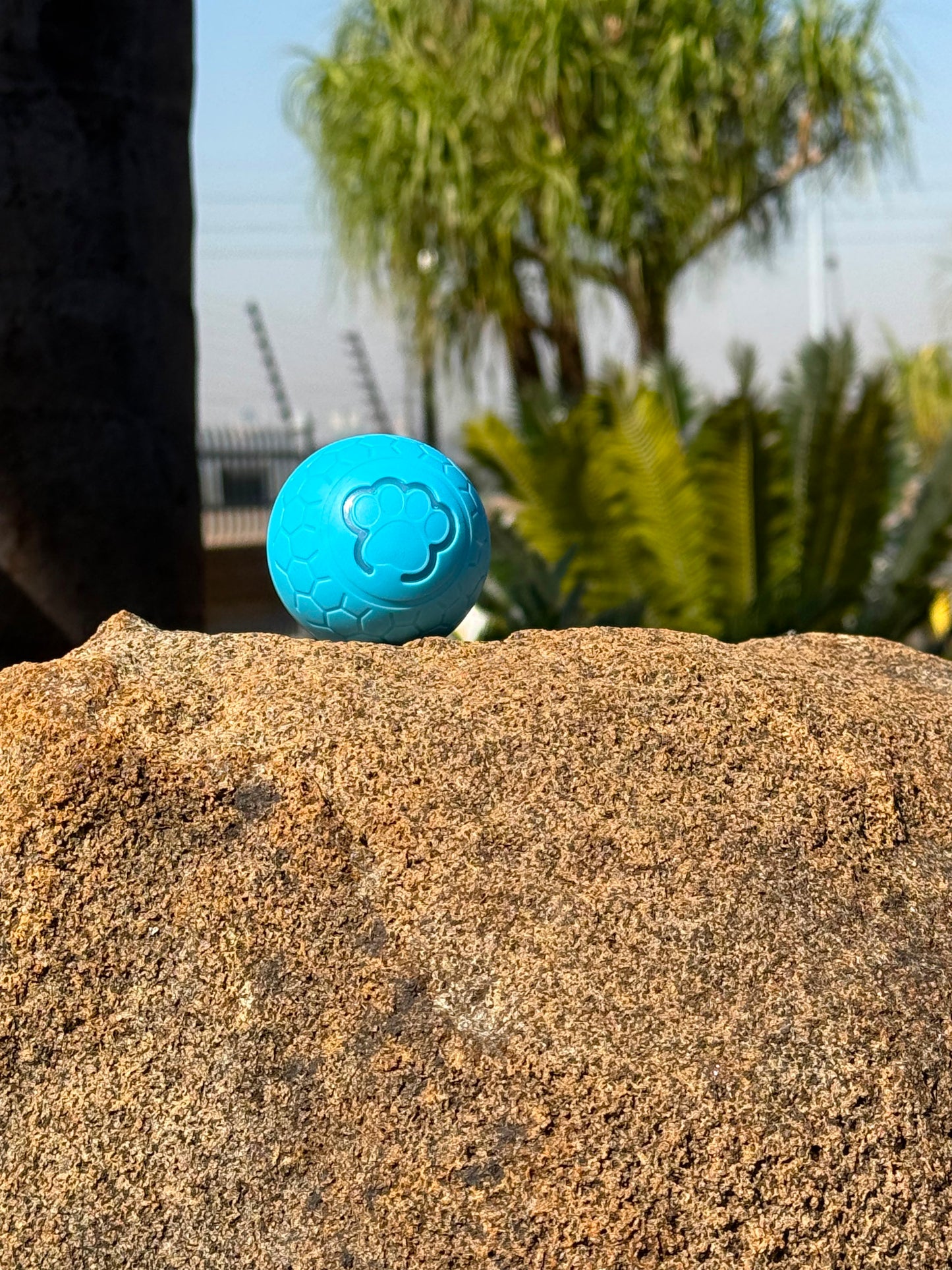 Prestige Pets™ The Zoomie Ball