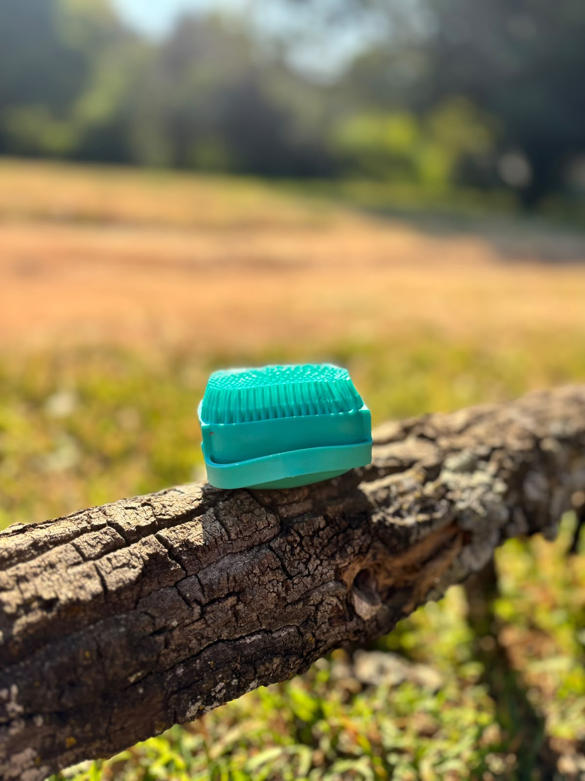 Gentle Grooming Sponge