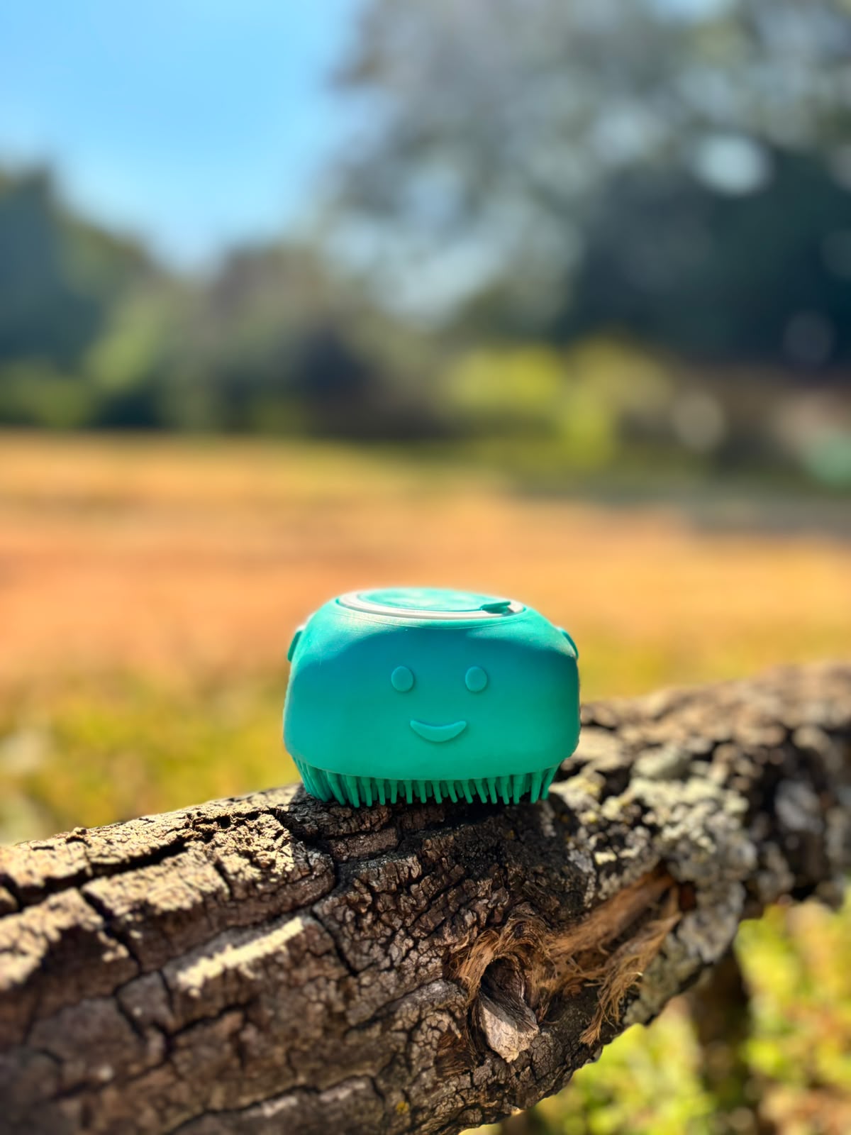 Gentle Grooming Sponge