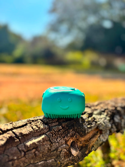 Gentle Grooming Sponge