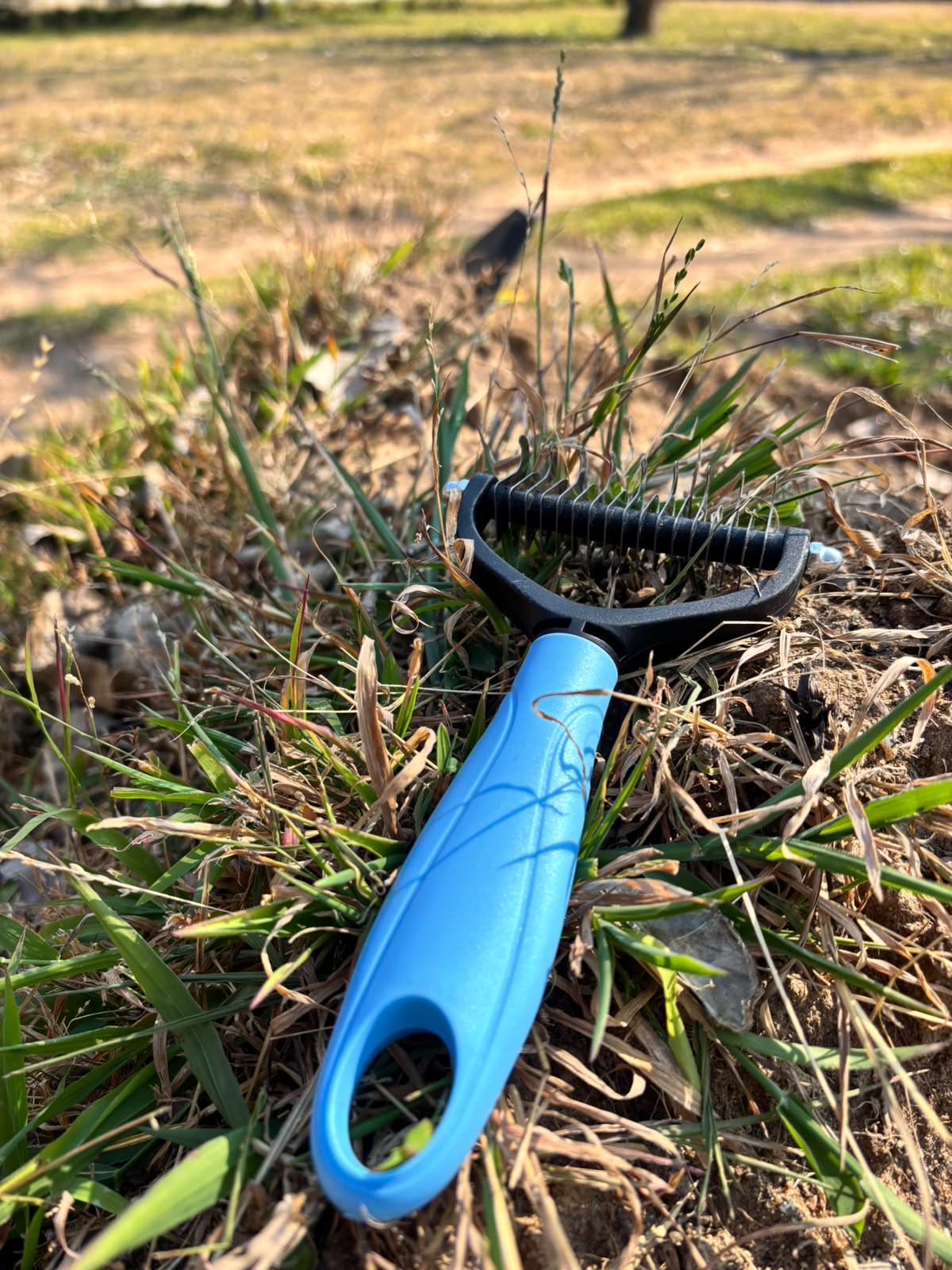 Grooming & Deshedding Brush