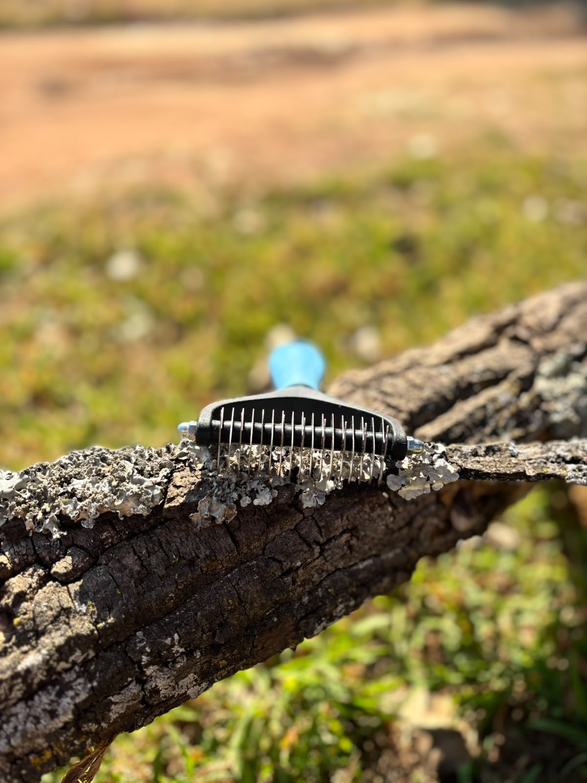 Grooming & Deshedding Brush