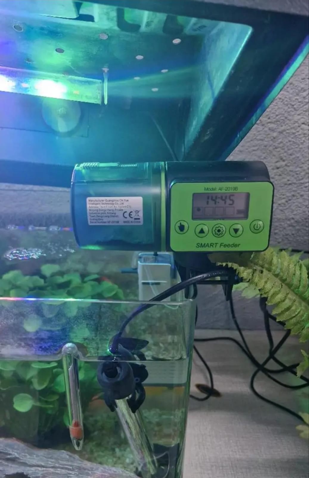 Prestige Pets™ Automatic Fish Feeder