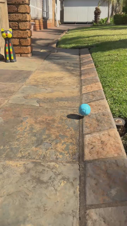 Prestige Pets™ The Zoomie Ball