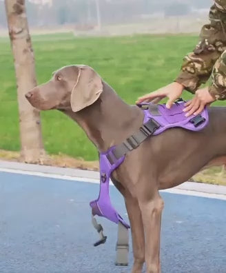 Prestige Pets™ TrailGuard Pro